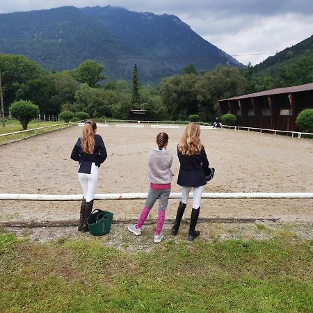 Muehle In Der Pferdewelt Reichenau 아파트 외부 사진