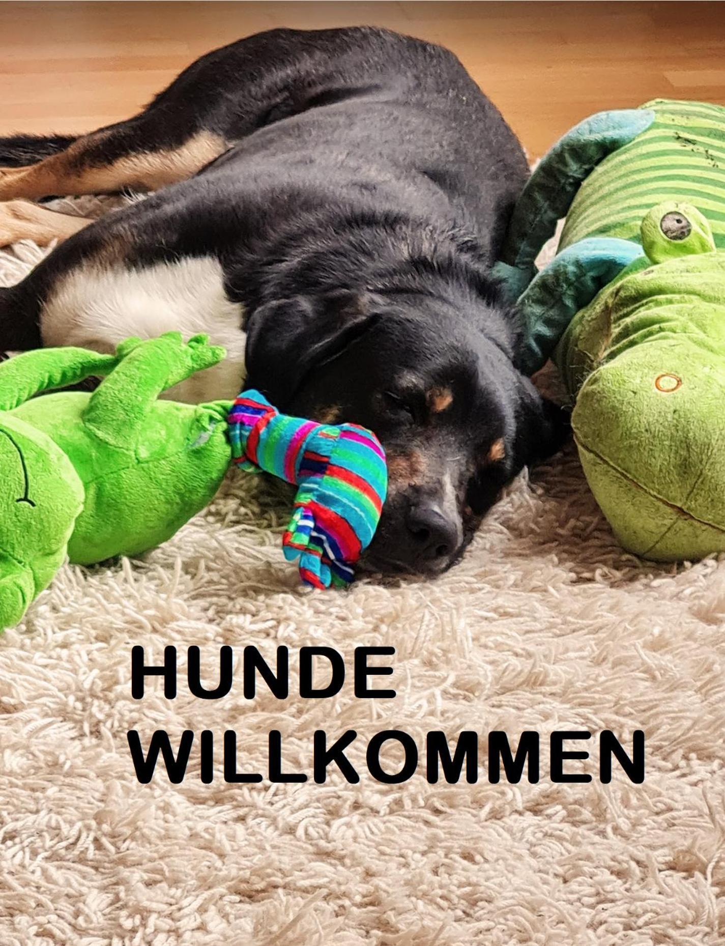 Muehle In Der Pferdewelt Reichenau 아파트 외부 사진